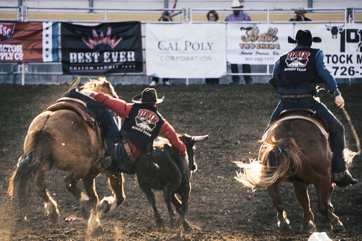 Plan Your Stay for the Angola Prison Rodeo
